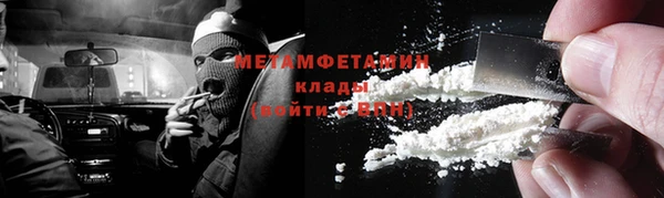 прущие грибы Абаза