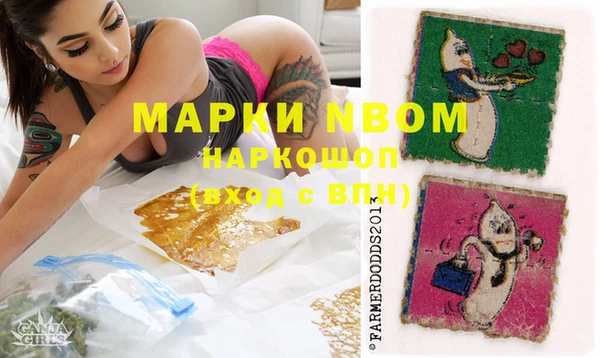 прущие грибы Абаза