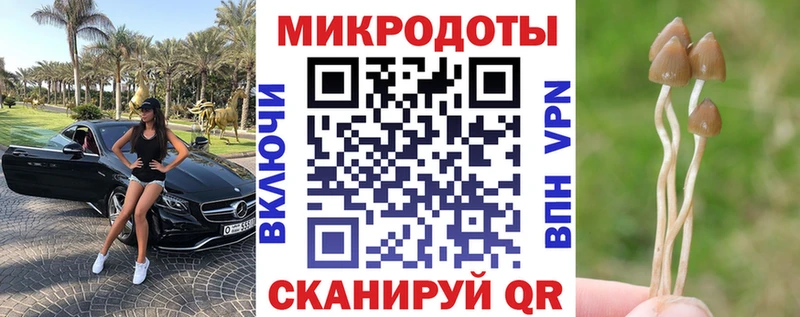 Псилоцибиновые грибы Magic Shrooms  закладка  Сорочинск 