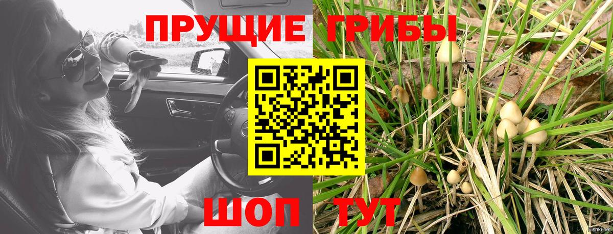 Галлюциногенные грибы Cubensis Сорочинск