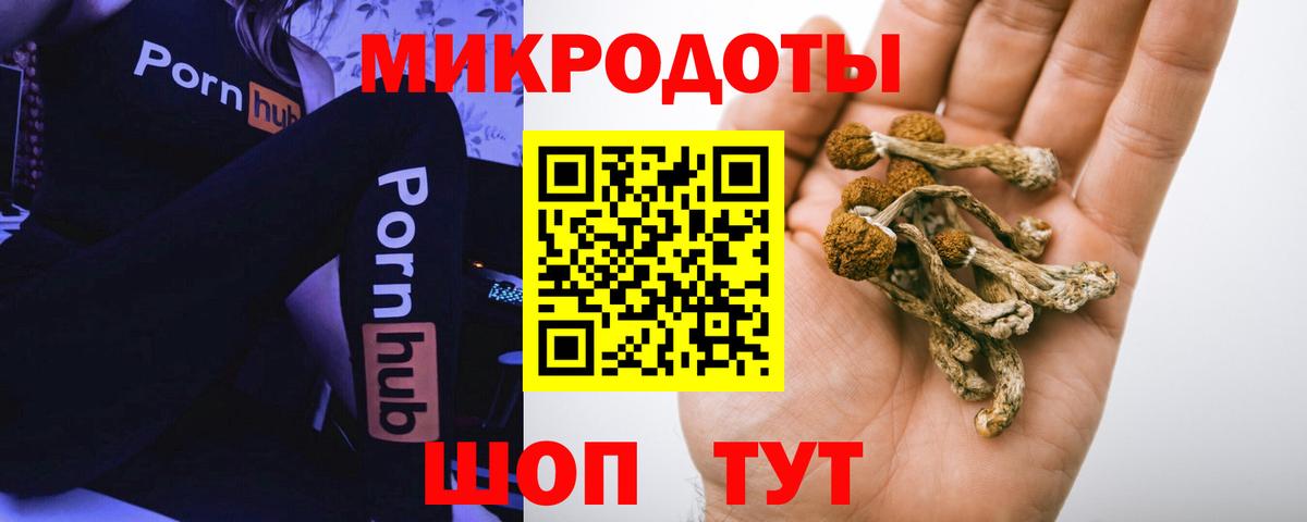 Сорочинск  Галлюциногенные грибы MAGIC MUSHROOMS  Вход с VPN 
